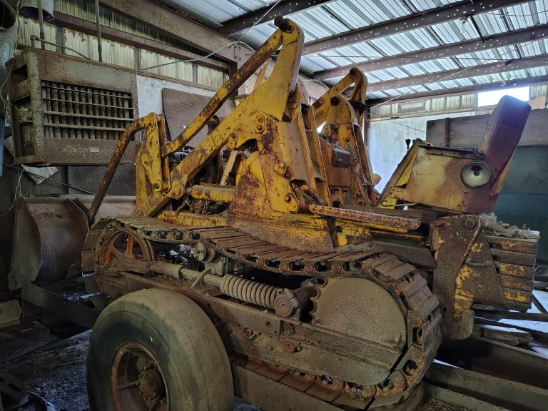 IMG 20260615 153600854 HDR 768x576